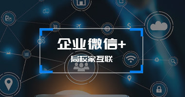 开发的产品