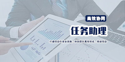 开发的产品