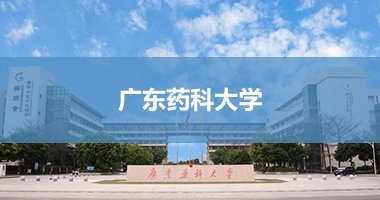 最新的案例